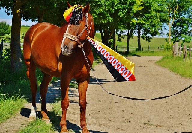 能够适配选 能够适配选